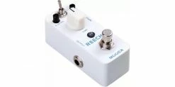 Best reviews of 🔔 MOOER Reecho Digital Delay Pedal 🧨
