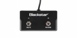Brand new 👏 Blackstar Amplification Blackstar FS-17 2-Way Footswitch For Sonnet 😉