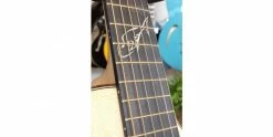 Cheap 🛒 Breedlove 30th Anniversary Northwest Classic Concert CE ❤️ -Cheap Guitar Store breedlove 30th anniversary northwest classic concert ce fretboard inlay