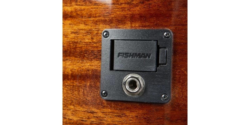 Best deal 🤩 Breedlove Discovery S Concert Edgeburst 12-String CE Sitka Spruce/African Mahogany 🥰 - Image 8