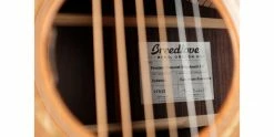 Budget π Breedlove Premier Concert Edgeburst CE Redwood/East Indian Rosewood π 18 Budget π Breedlove Premier Concert Edgeburst CE Redwood/East Indian Rosewood π -Cheap Guitar Store breedlove premier concert edgeburst ce redwood east indian rosewood label