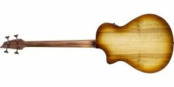 Best reviews of 🔥 Breedlove Pursuit Exotic S Concerto Amber Fretless Bass CE Myrtlewood ⭐ -Cheap Guitar Store breedlove pursuit exotic s concerto amber fretless bass ce back
