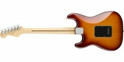 Best Pirce π Fender Player Stratocaster HSH Tobacco Sunburst Pau Ferro β¨ 10 Best Pirce π Fender Player Stratocaster HSH Tobacco Sunburst Pau Ferro β¨ -Cheap Guitar Store fender player stratocaster hsh tobacco sunburst pau ferro back