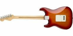 Budget 🧨 Fender Player Stratocaster Plus Top Aged Cherry Burst Maple 🛒 -Cheap Guitar Store fender player stratocaster plus top maple fingerboard aged cherry burst back