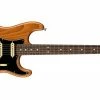 Promo 👍 Fender American Professional II Stratocaster Roasted Pine Rosewood 🌟 -Cheap Guitar Store fender american professional ii stratocaster roasted pine rosewood front