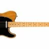 Best Sale ✔️ Fender American Professional II Telecaster Roasted Pine Maple 🌟 -Cheap Guitar Store fender american professional ii telecaster maple fingerboard roasted pine front
