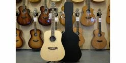 Flash Sale 🎁 Freshman FALTDSPRD 20th Anniversary Electro-Acoustic All-Solid Dreadnought 🎁 -Cheap Guitar Store freshman faltdsprd 20th anniversary electro acoustic all solid dreadnought with case
