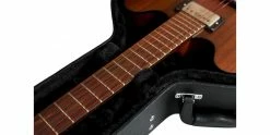 Top 10 😀 Gator GWE-335 Semi-Hollow Style Guitar Case 👏 -Cheap Guitar Store gator gwe 335 neck