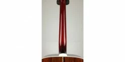 Best reviews of ๐ Guild D-55E Natural ๐ 21 Best reviews of ๐ Guild D-55E Natural ๐ -Cheap Guitar Store guild d 55e natural neck