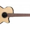 Cheapest ⭐ Ibanez AEG50N Nylon String Electro-Acoustic Natural 🛒