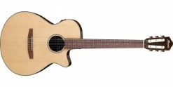 Cheapest ⭐ Ibanez AEG50N Nylon String Electro-Acoustic Natural 🛒