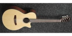 Cheapest ⭐ Ibanez AEG50N Nylon String Electro-Acoustic Natural 🛒 -Cheap Guitar Store ibanez aeg50n nylon natural front angle