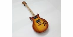 Top 10 ✔️ Gordon Smith GS Deluxe Cognac Burst ❤️ -Cheap Guitar Store img 20170407 164823