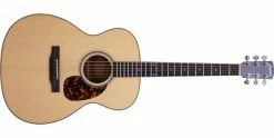 Cheapest ⭐ Larrivee OM-03 Recording Series Guitar 🎉