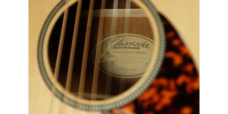 Top 10 ๐ Larrivee P-03 Recording Series Parlour Guitar ๐คฉ 7 Top 10 ๐ Larrivee P-03 Recording Series Parlour Guitar ๐คฉ - Image 5