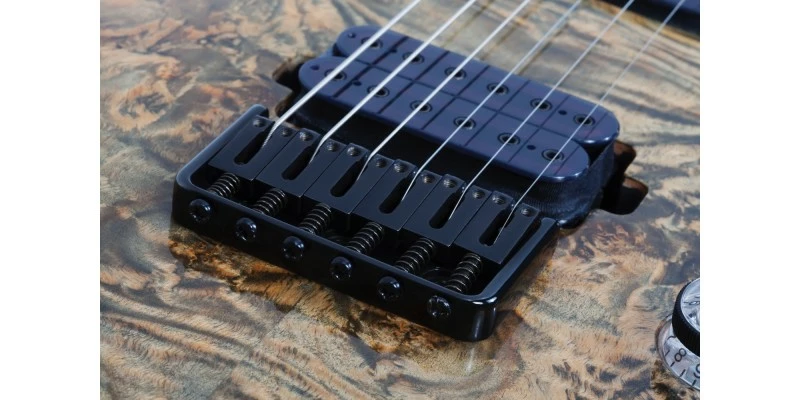 Discount π€© Schecter Omen Elite-6 Charcoal β¨ 10 Discount π€© Schecter Omen Elite-6 Charcoal β¨ - Image 8