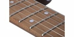Flash Sale 🤩 Schecter PT Van Nuys Gloss Natural Ash 🛒 -Cheap Guitar Store schecter pt van nuys gloss natural ash inlay close