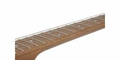 Flash Sale 🤩 Schecter PT Van Nuys Gloss Natural Ash 🛒 -Cheap Guitar Store schecter pt van nuys gloss natural ash neck side binding