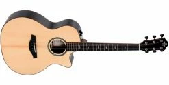 Outlet 🌟 Sigma Guitars Sigma GECE-3+ Macassar Ebony Electro-Acoustic Guitar 🛒