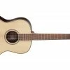 Wholesale 🛒 Takamine GY93 New Yorker Acoustic Guitar 😀