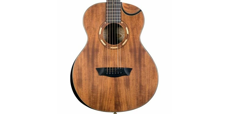 Outlet ⨠Washburn G-Mini 55 KOA Travel Acoustic Guitar Natural 𧨠4 Outlet ⨠Washburn G-Mini 55 KOA Travel Acoustic Guitar Natural 𧨠- Image 2