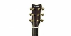 Promo π Yamaha LL6 ARE Natural Acoustic Guitar β¨ 11 Promo π Yamaha LL6 ARE Natural Acoustic Guitar β¨ -Cheap Guitar Store yamaha ll6 are natural acoustic guitar headstock